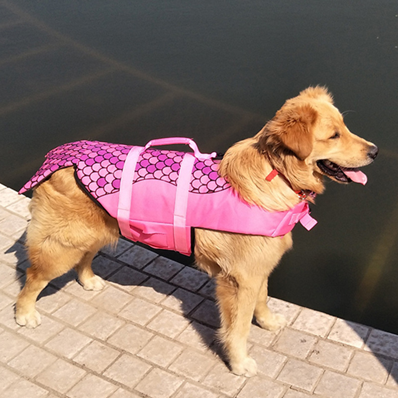 Pet Valu Dog Life Jacket