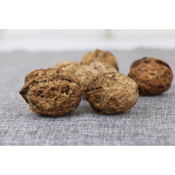 Premium Unwashed In-Shell Walnuts Fresh Crop