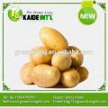2016 New Mature Fresh Potatoes Low Price