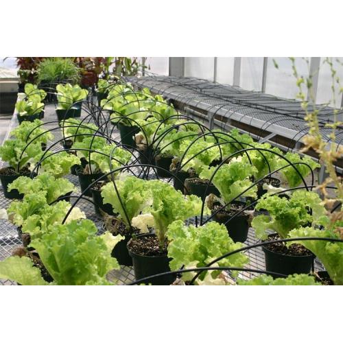 Drip Arrow Drip Irrigation System For Agriculture Manufacturers and Drip Arrow Drip Irrigation System For Agriculture Suppliers