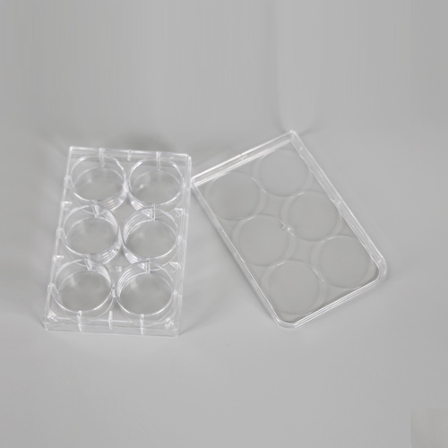 Best Tissue 6 Well Cell Culture Plate Manufacturer Tissue 6 Well Cell Culture Plate from China
