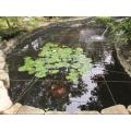 Pond Protection Netting,Koi Pond Cover Net Pool Leaf Netting Protects Koi Fish from Blue Heron Birds Cats Dog Predators