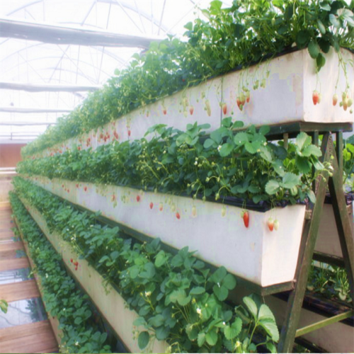 Hydroponic U-type Strawberry Growing Trough System Manufacturers and Hydroponic U-type Strawberry Growing Trough System Suppliers