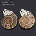 Natural Crystal Fossil Shell Snail Pendant Necklace Energy Stone Healing Divination Necklaces for Home Decoration Gift Collectio