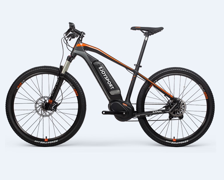 Batterie Ebike