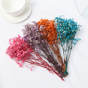 Babysbreath Natural Fresh Dried Preserved Flowers Real Forever Baby Breath Flower Branch For DIY Eternal Flower 30-35CM