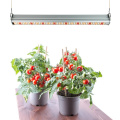 4ft 120w double sided lamp grow light