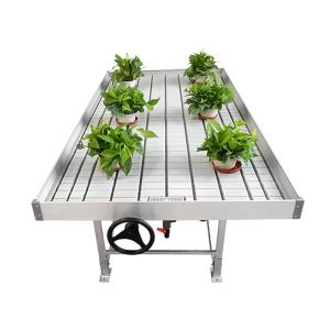 Flow seedbed rolling bench for growing system