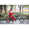 electric bike for adult ce high quality