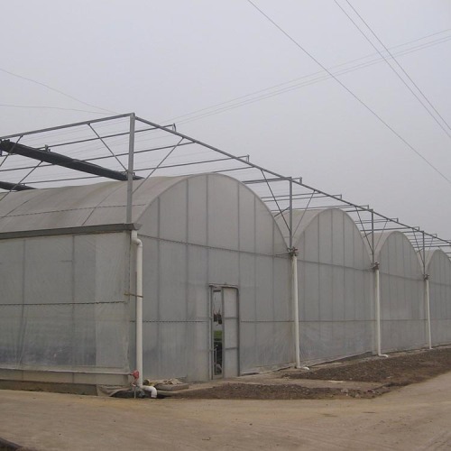 Agricultural Low Cost Plastic Film Covered Greenhouse Manufacturers and Agricultural Low Cost Plastic Film Covered Greenhouse Suppliers