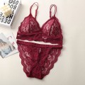 Transparent Lace Lingerie Set Sexy Embroidery Women Brassiere Padded Underwear Push Up Bra and Panty Sets
