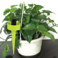 Plant Waterer Self-irrigation Equipment Plastic Automatic Vegetable Flowers Indoor Household Garden Plant Irrigation Kit System