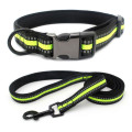 green collar  leash
