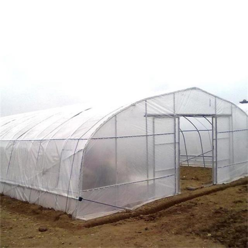 Cheap Single Span film blackout Tunnel Greenhouse Manufacturers and Cheap Single Span film blackout Tunnel Greenhouse Suppliers