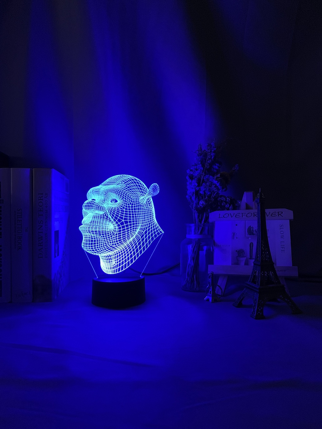 Led Night Light Shrek Head Hologram 3d Illusion Lamp for Kids Child Bedroom Decor Nightlight Usb Battery Powered Table Lamp Gift