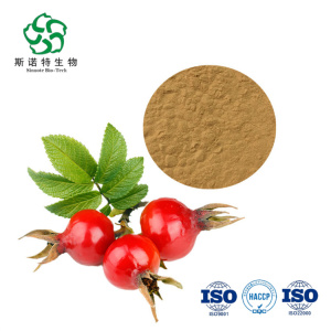 Best Skin Beauty Products Rosehip Extract Powder