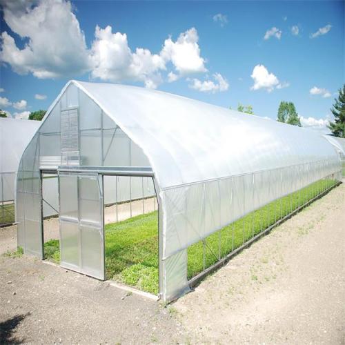 Tunnel Plastic Film Greenhouse the cultivation of vegetables Manufacturers and Tunnel Plastic Film Greenhouse the cultivation of vegetables Suppliers