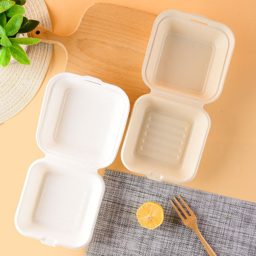 Suppliers for Sugarcane Biodegradable Bagasse Hamburger Takeaway Box