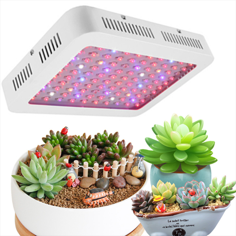 Led 600w grow light UK US EU