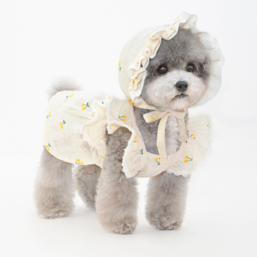 Dog Dress Stitching