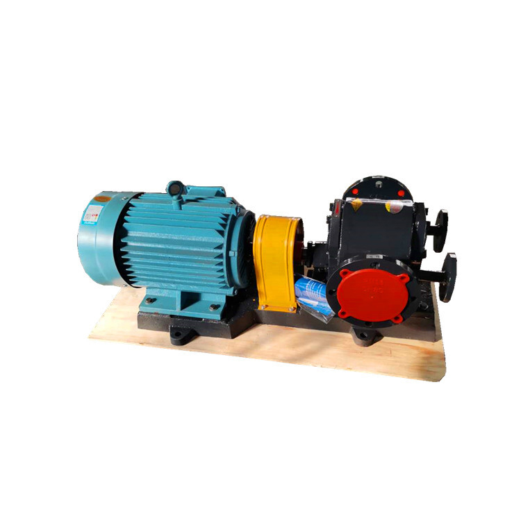 Wqcb High Quality Jacket Insulation Pump Stainless Steel Resin Pump Asphalt Gear Pump4