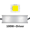 100W and Driver