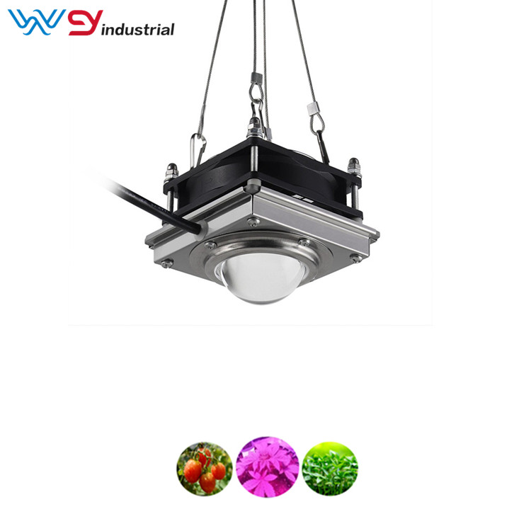 Grow light hydroponic full spectrum cob led grow