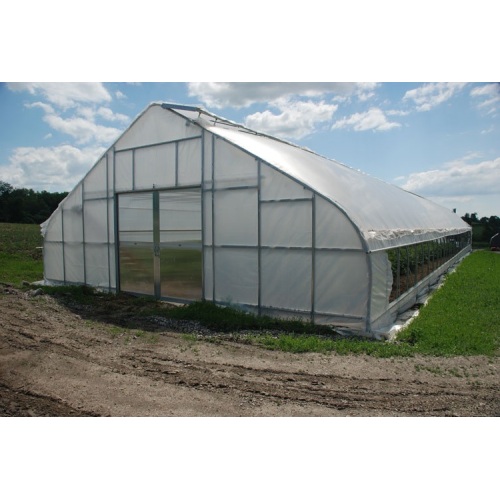 Tunnel Plastic /PE Flim Greenhouse For Vegetables Manufacturers and Tunnel Plastic /PE Flim Greenhouse For Vegetables Suppliers