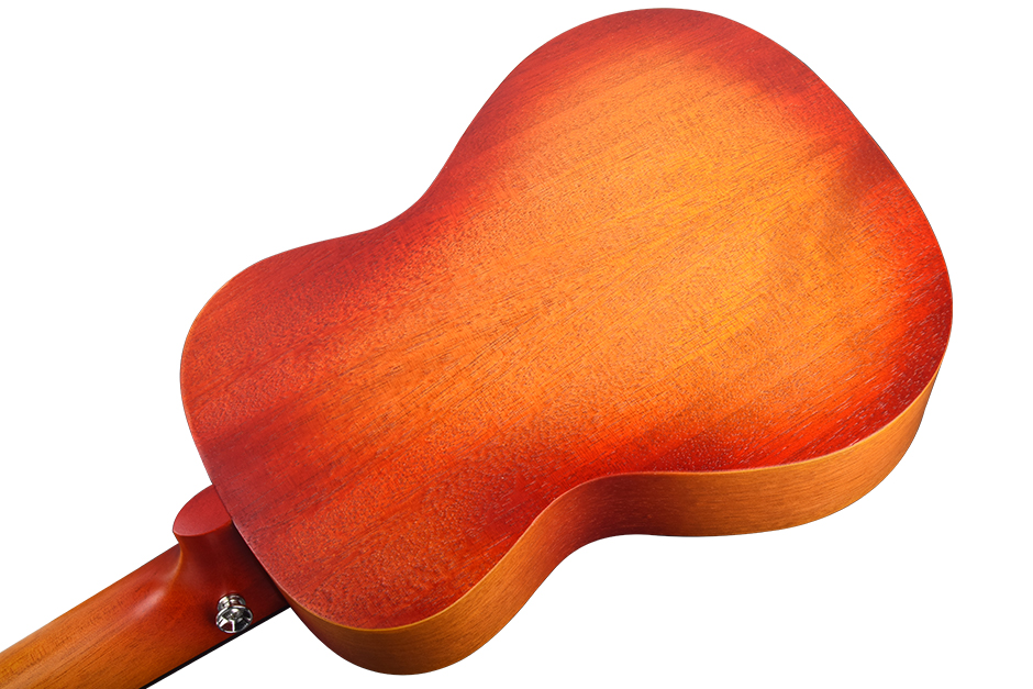Uk U2 Concert Ukulele