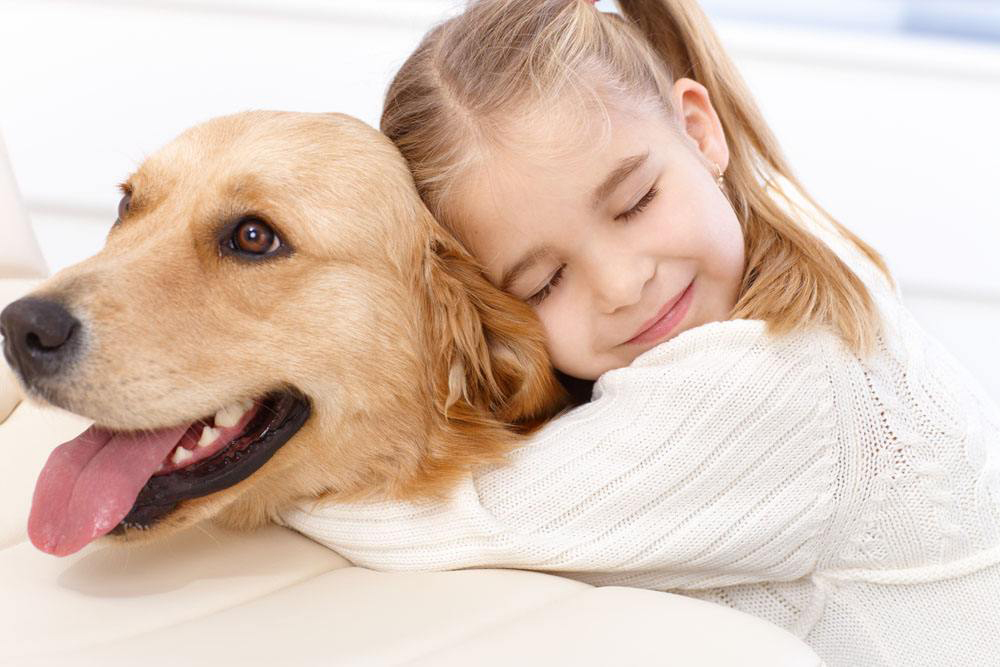 lovely dog lovely dog