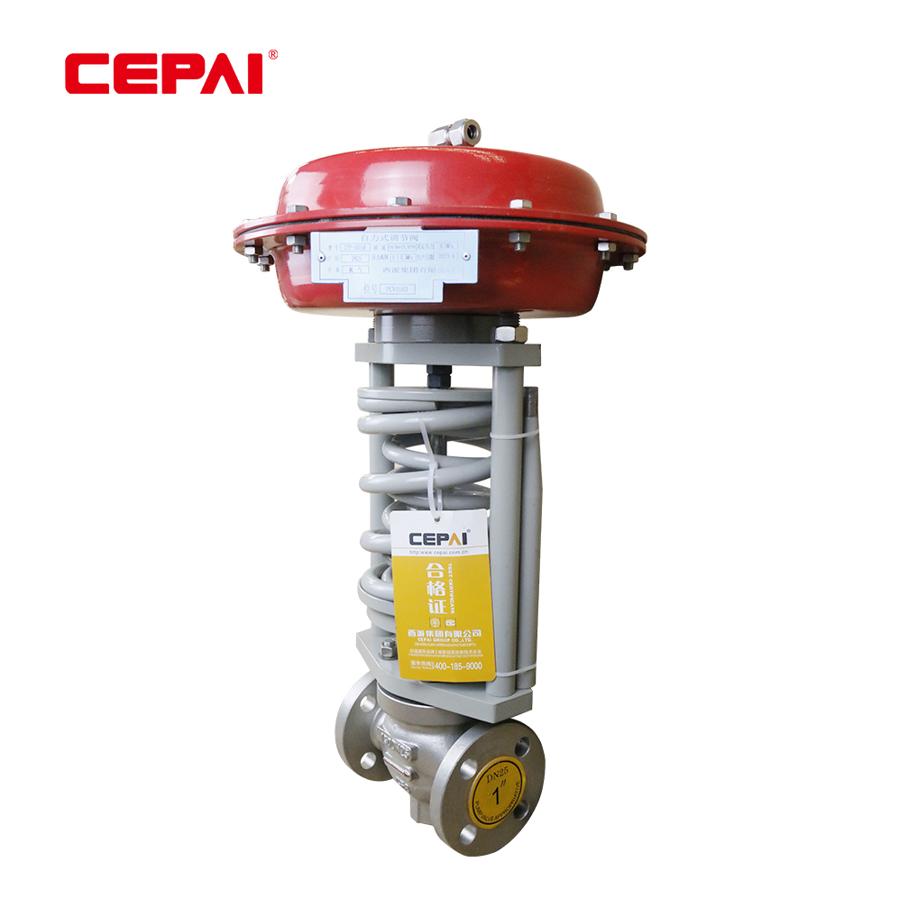Self Operateself Operated Control Valve