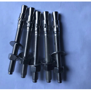 Stainless Steel Concrete Anchors Studs