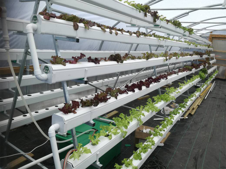 Hydroponic Tower