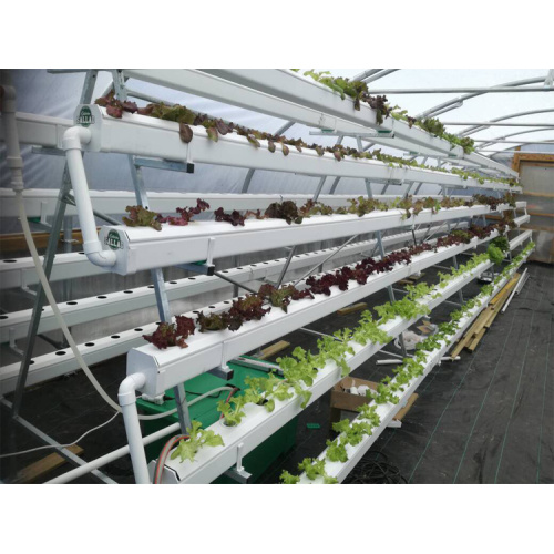 Hydroponic growing systems vertical tower garden NFT channel Manufacturers and Hydroponic growing systems vertical tower garden NFT channel Suppliers