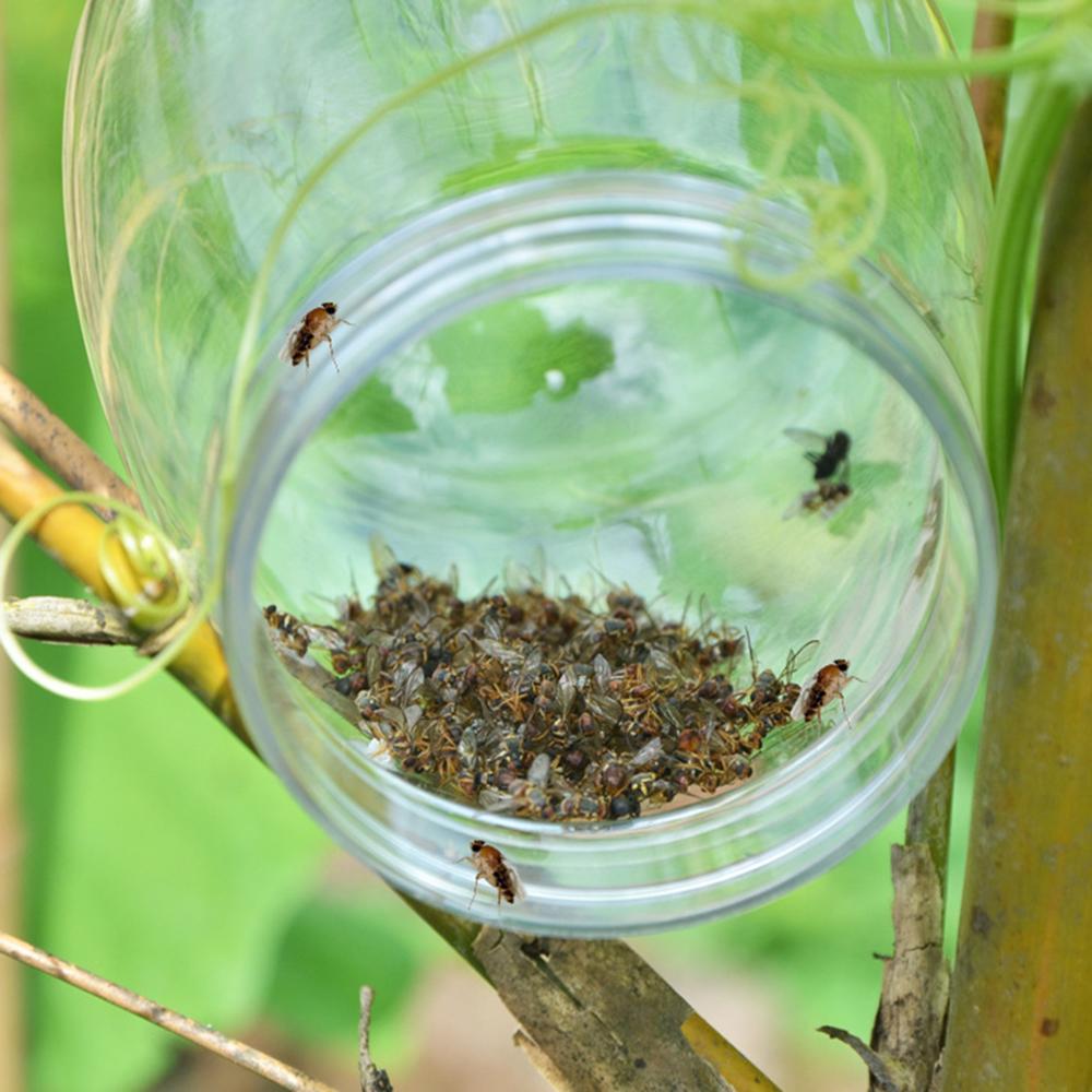 Wasp Trap Fruit Fly Flies Insect Fly Catcher Reusable Hanging Honey-Trap Catcher No-Poison Trap Bottle Fly Killer Fly Trap