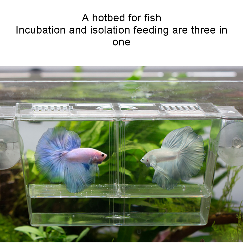 Aquarium Fish Breeding Isolation Box Breeder Box Fish Incubator Woth High Strength Suction Cup Fish Breeding Accessories Product