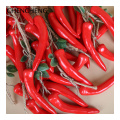 CHENCHENG Artificial Vegetables Chili Potato Eggplant Garlic Corn Cucumber Tomatoes Fake Bubble Food Home Decoration Pendant