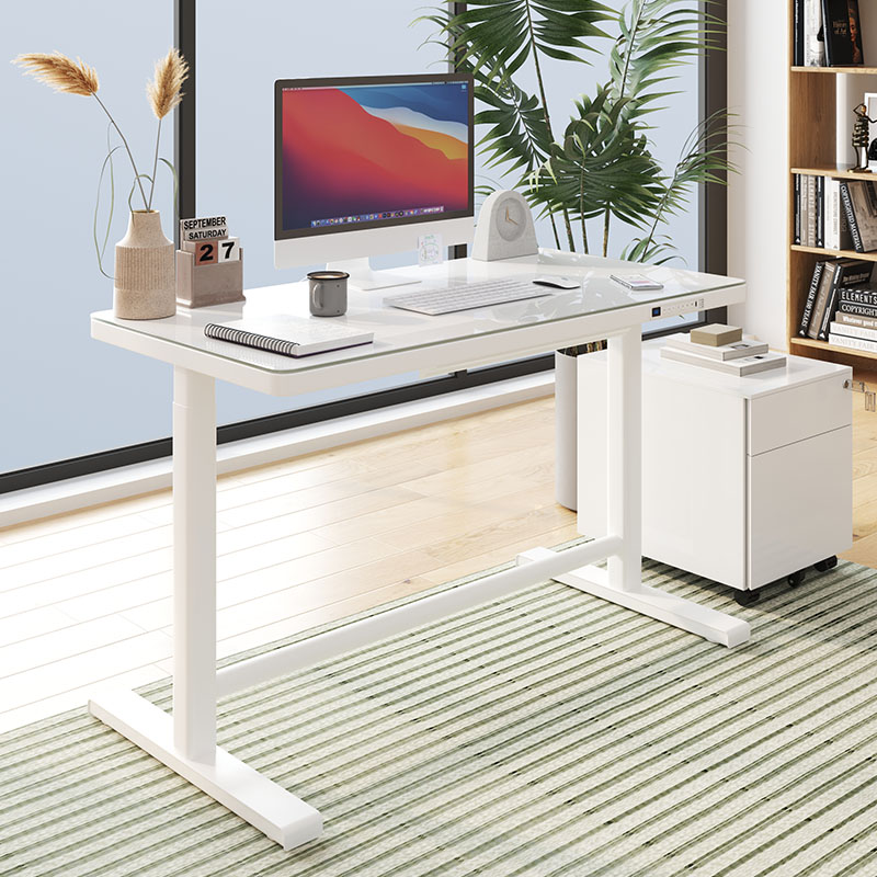 Electric Standing Desk
