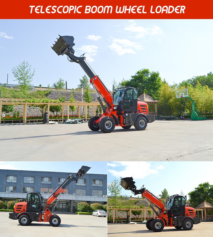 Telescopic Loader
