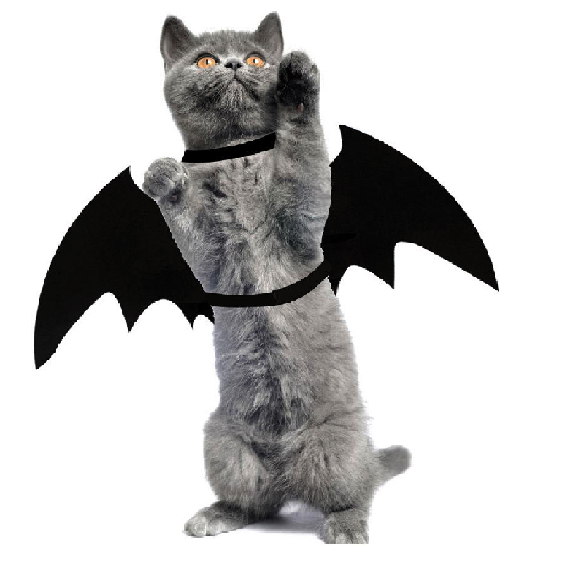 New Cute Halloween Cat Costume Pet Cat Bat black Wings Pet Dress Up Jewelry 2019 high quality Halloween Decorations