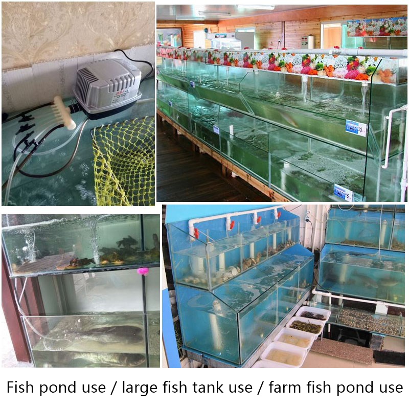 JEBO aeration pump large fish tank aquarium fish pond aquaculture oxygen pump silent fish pond oxygen pump aerator