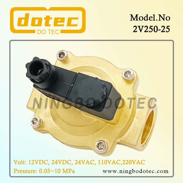 2V250-25 1'' Diaphragm Piloted Brass Solenoid Valve 220VAC