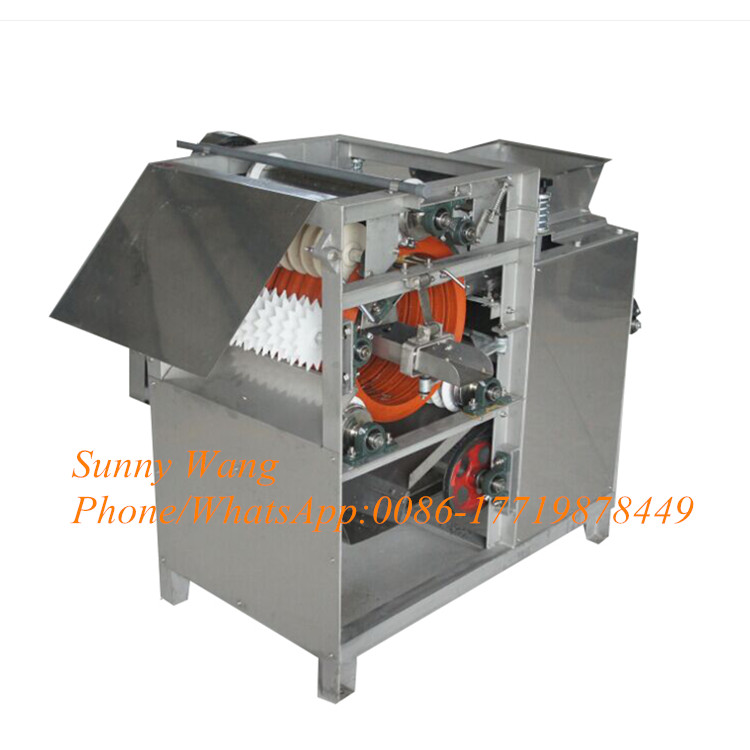 300kg/h New Wet Way Type Groundnuts Soybean Almonds Broad Beans Peanut Red Skin Remover Peeler Peeling Machine