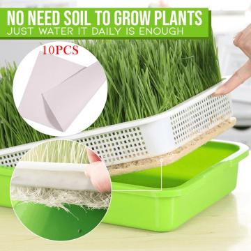 Hydroponic Systems Vegetable Seeds Nursery Pots Double-layer Plastic Seed Sprouter Tray Indoor Flower Pot With 10 Papers 25