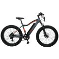 https://www.bossgoo.com/product-detail/tw-827-5inch-electric-bike-lithium-63385008.html