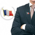 French Flag Epoxy Lapel Pin Badge/Brooch France Tricolore Rebublique Francaise