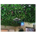 250cm Artificial Silk Plastic Simulation Climbing Vines Green Leaf Ivy Rattan for Home Decor Party Birthday Wedding Decoration