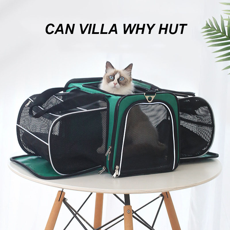 Pet Travel Carrier