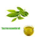 https://www.bossgoo.com/product-detail/100-pure-nature-tea-tree-essential-62320843.html