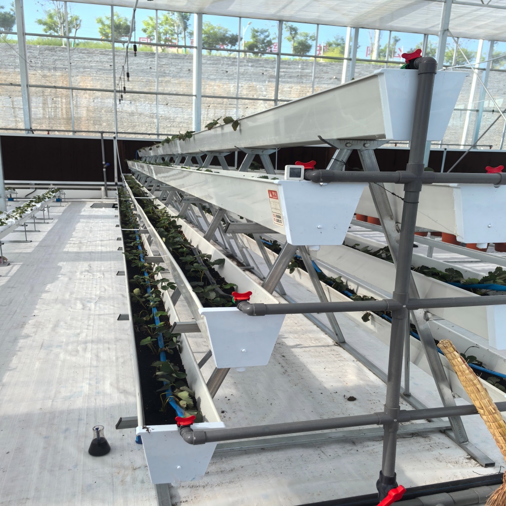 Glass Greenhouse-12
